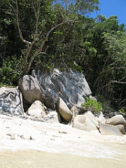 185 Fitzroy Island